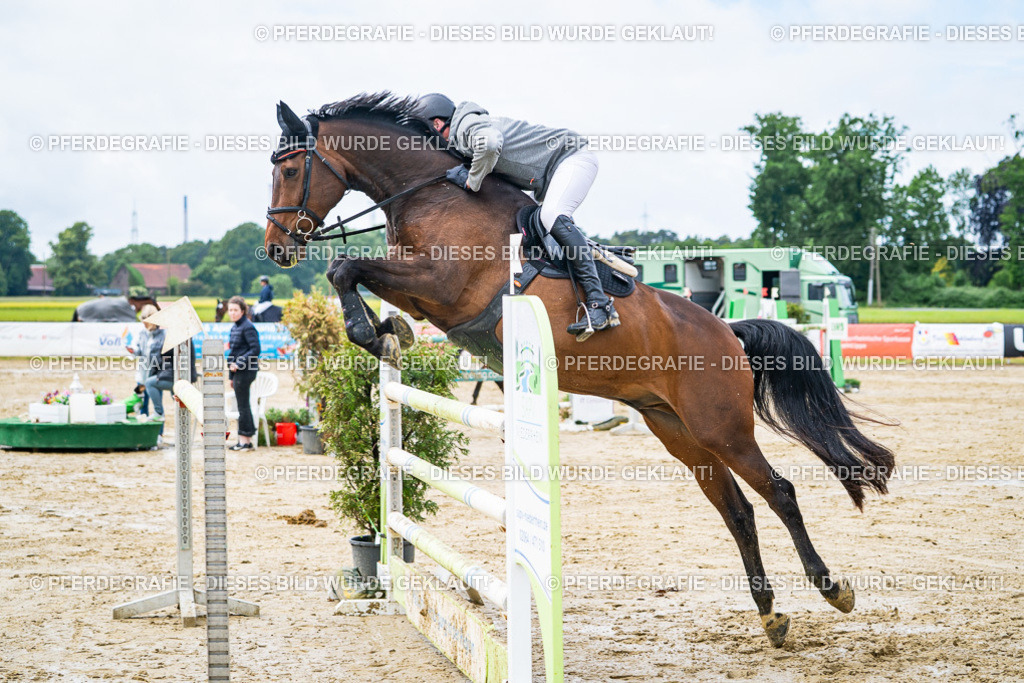 DSC03864 | Pferdegrafie