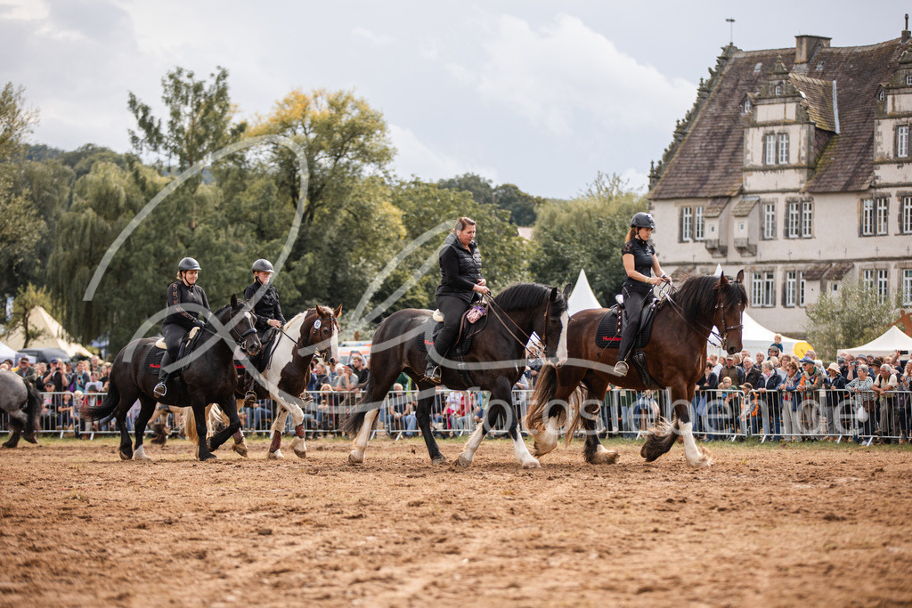 846A3994 | fotosleben - Realisiert mit Pictrs.com