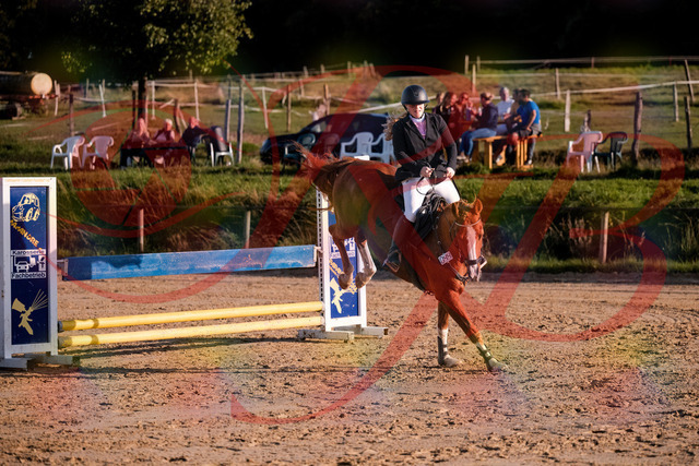 2026_10_03_Siefer-Hof_171751_Z81_15908530 | Professionelle Reitsport-, Turnier- und Eventfotografie von Robert Broda. Galerien mit ausgewählten und bearbeiteten Bildern direkt online ansehen und bestellen.