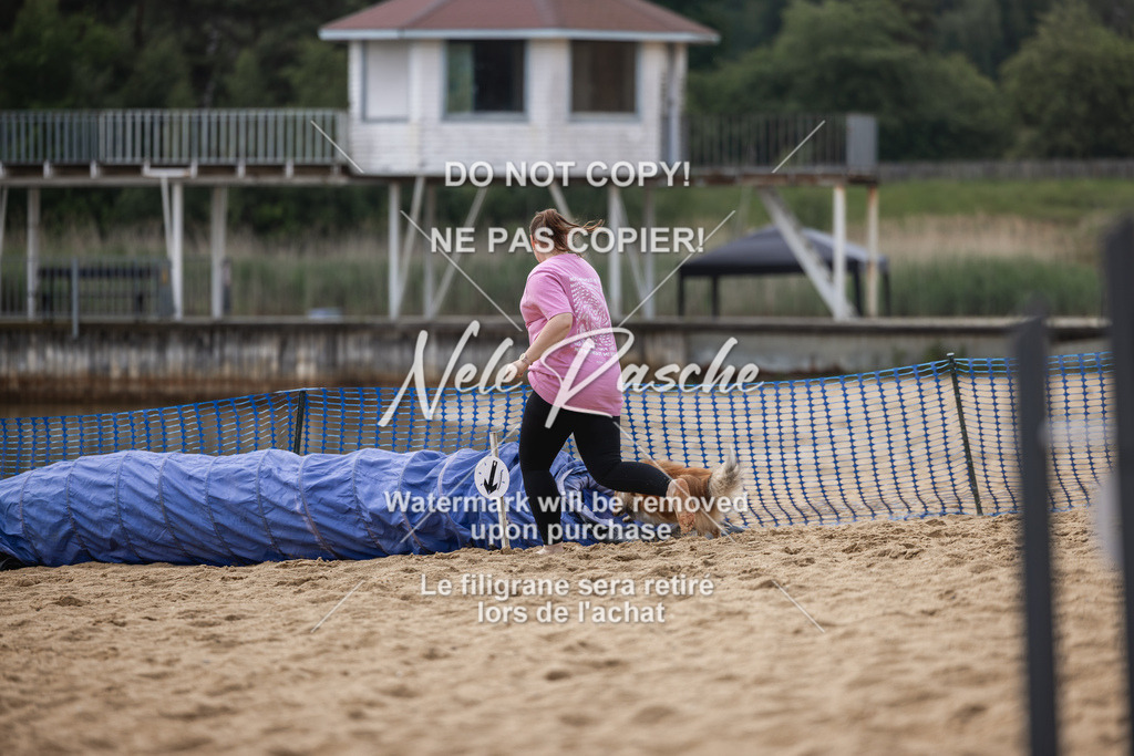 nelerasche_BuHu2026_So1530-Ende_139 | nelerasche
