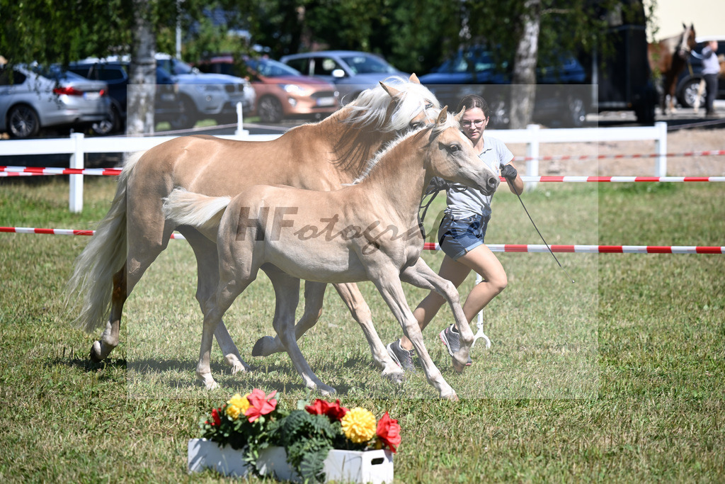 Kat-Nr. 5 SF v. Boss Hoss x Nanouk_Schindlbeck_22250095 | hf-fotografie - Realizzato con Pictrs.com