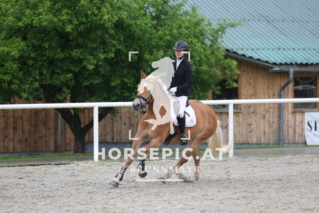 0P6A7957 | Willkommen bei Brunnmayr - Design & Fotografie – Ihrem Spezialisten für Reitturniere und Pferdeveranstaltungen in Oberösterreich, Salzburg und Bayern! Seit über 17 Jahren sind wir leidenschaftlich dabei.