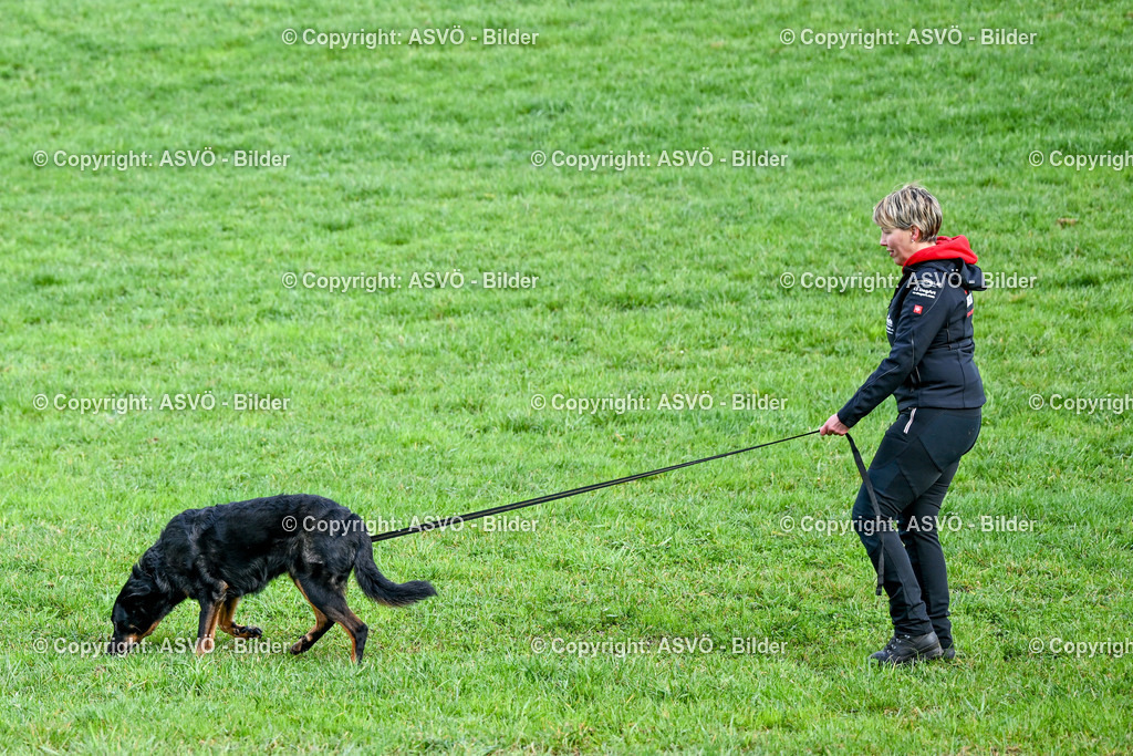 ASVÖ_ Tracking Dog World Championship 2025_ 31.03.2025-84 | 31.03.2025, AUT, ASVÖ, Tracking Dog World Championship // FCI IGP Fährtenhundeweltmeisterschaft 2025©fodo.media / Harald Dostal - Realisiert mit Pictrs.com
