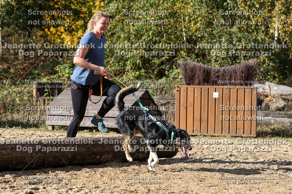 Dog Paparazzi - Strongdog 10-25-4914 | Dog Paparazzi Jeanette Grottendiek Fotografie & Videografie - Realisiert mit Pictrs.com