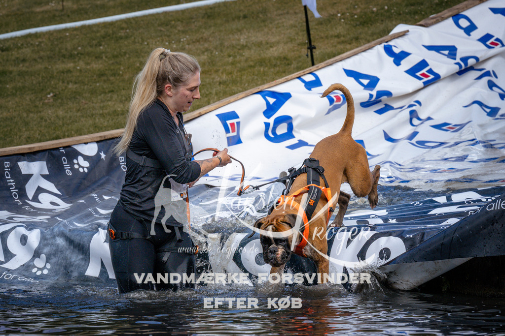 _ZZ943980957 | kk-dogfotos