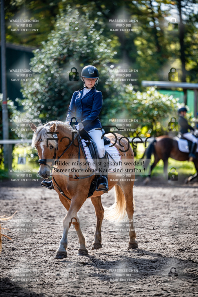 2026-10-Helle-20-4-0037 | Entdecke hochwertige Reitturnierfotos von Foto Oger. Professionell, emotional und authentisch – jetzt Lieblingsmomente im Shop bestellen.Deutschlandweite Turnierfotografie. - Realisiert mit Pictrs.com