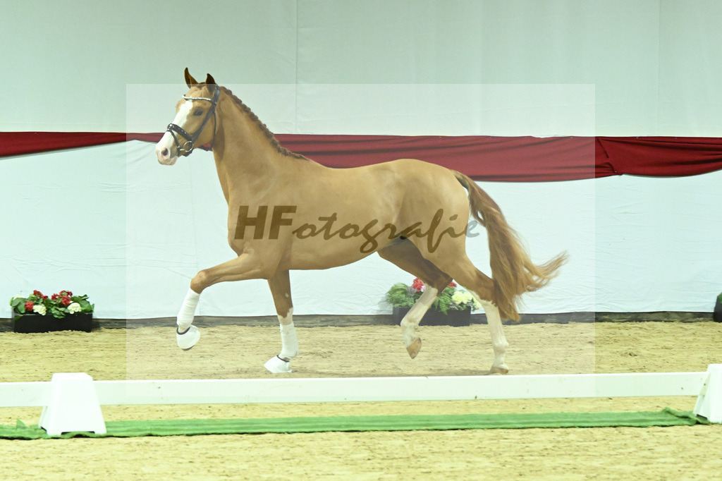 Kat-Nr. 10 v. Fuerst Samarant_Beckmann_63220020 | hf-fotografie - Realizzato con Pictrs.com