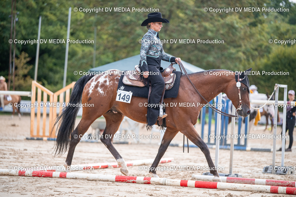 ZS3_4614 | dv-media-shop - Realisiert mit Pictrs.com