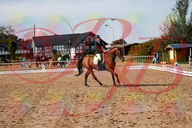 2026_10_03_Siefer-Hof_131143_Z63_75209776 | Professionelle Reitsport-, Turnier- und Eventfotografie von Robert Broda. Galerien mit ausgewählten und bearbeiteten Bildern direkt online ansehen und bestellen.