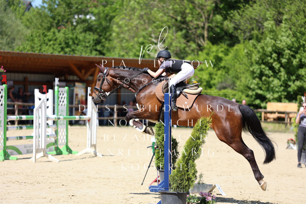 IMGS8067 | pl-fotografie