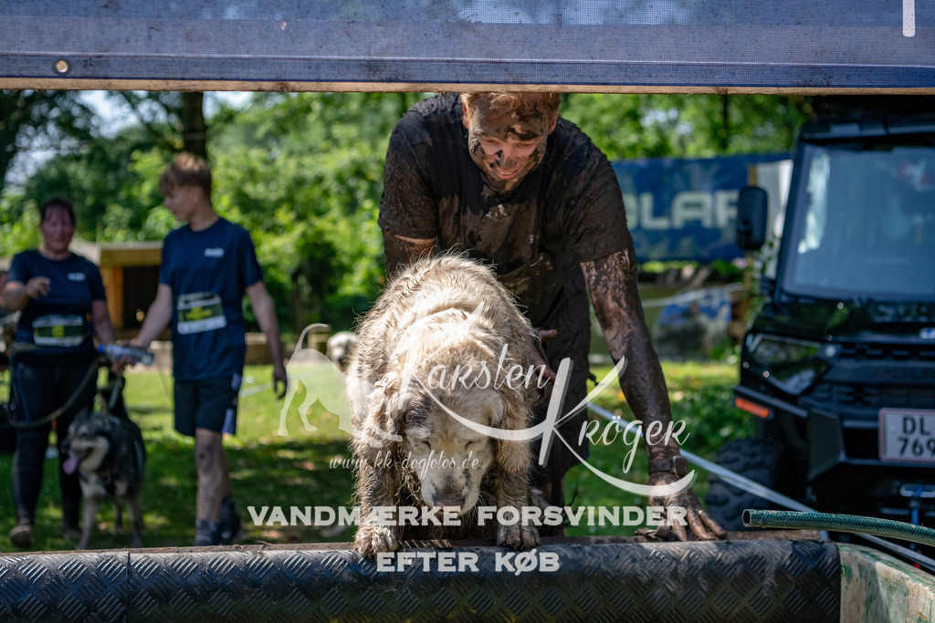 1251_ZZ90054 | kk-dogfotos