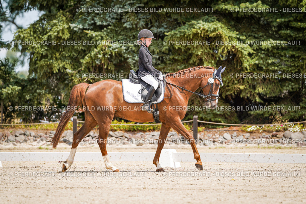 DSC03270 | Pferdegrafie