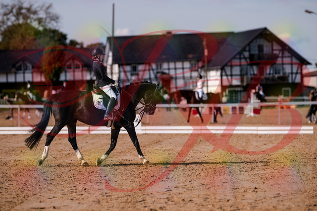 2026_10_03_Siefer-Hof_121536_Z81_17353876 | Professionelle Reitsport-, Turnier- und Eventfotografie von Robert Broda. Galerien mit ausgewählten und bearbeiteten Bildern direkt online ansehen und bestellen.