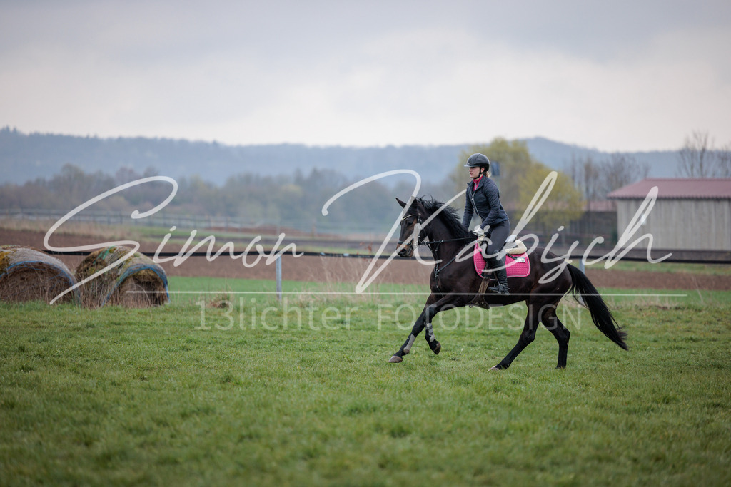 20260329-_3LI4112 | Tierfotografie Pferde, Hunde, Katzen, Haustiere.
Turnierfotografie Reitturniere, Reiten, Springreiten, Dressur in Hanau, dem Main-Kinzig-Kreis und dem Rhein-Main- Gebiet um Frankfurt