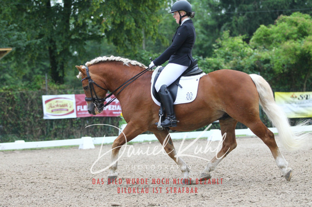 DKP40128 | Turniersportfotografie; Pferdefotografie; Dressurfotografie