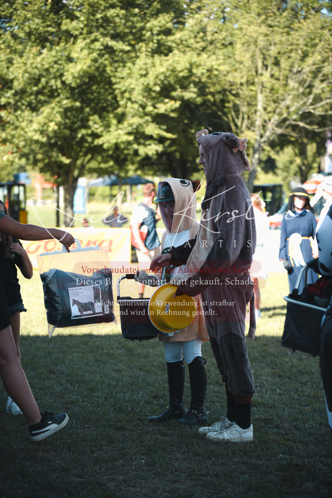 DSC_7846 | Pferde- und Turnierfotografie in Westsachsen. Pferdeportraits, Auftragszeichnungen und intuitive Kunst.