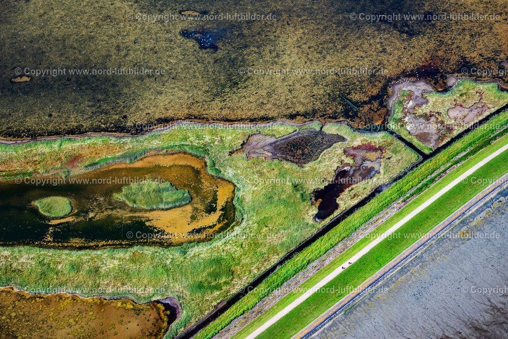 Sylt_Rantum_Rantumbecken_Salzwiesen_ELS_9586130825 | SYLT 13.08.2025 Grasflächen- Strukturen einer Feld- und Wiesen- Landschaft " Rantumbecken " in Sylt Nordsee - Insel im Bundesland Schleswig-Holstein, Deutschland. // Grass area structures of a salt marsh landscape " Rantumbecken " in Sylt North Sea Island in the state Schleswig-Holstein, Germany. Foto: Martin Elsen