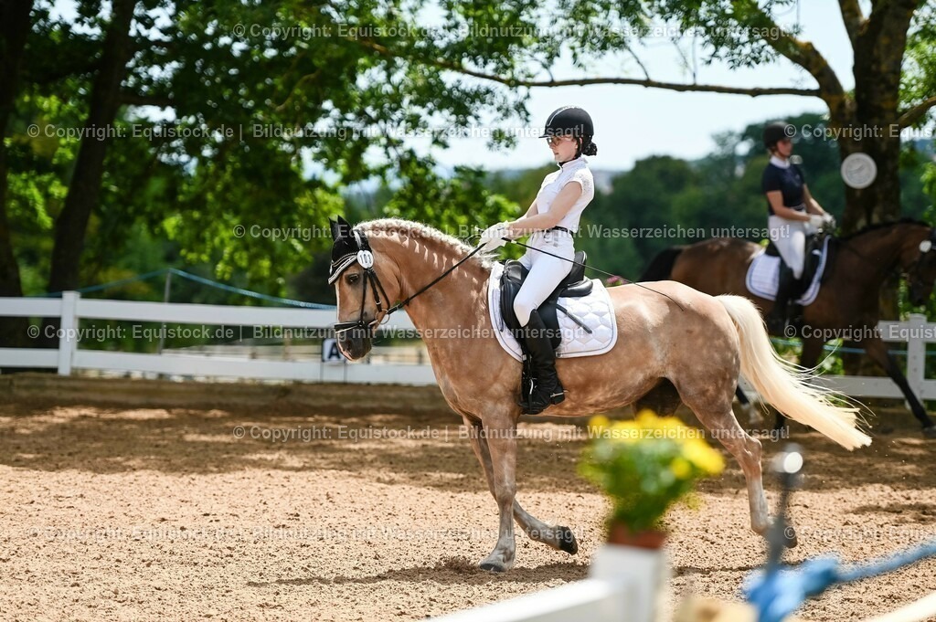 20230715_05_Dressurprüfung Kl.A++_0090 | equistock