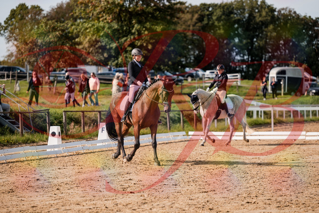 2026_10_03_Siefer-Hof_122832_Z63_48717127 | Professionelle Reitsport-, Turnier- und Eventfotografie von Robert Broda. Galerien mit ausgewählten und bearbeiteten Bildern direkt online ansehen und bestellen.