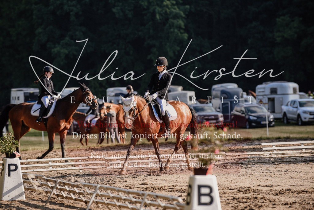 DSC_7866 | Pferde- und Turnierfotografie in Westsachsen. Pferdeportraits, Auftragszeichnungen und intuitive Kunst.