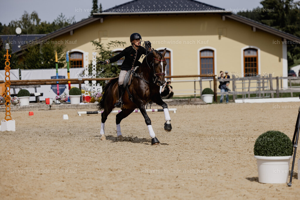 Virginie12FHC2025-20705 | working equitationturnier fotograf videograf stoibphotography marixx film working equitation deutschland reitsport turnierfotografie eventfotografie equestrian events