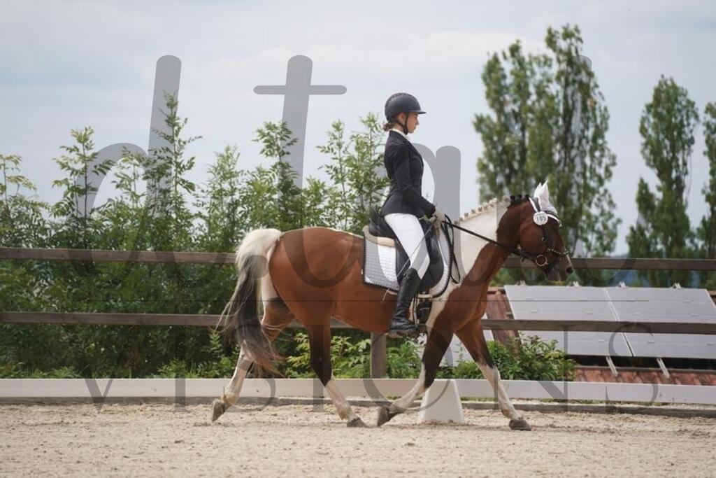 tgbhsamstag (1620) | d.tail Visions - Shop - Realisiert mit Pictrs.com