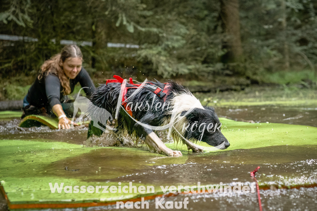 1454_ZZ94200-Bearbeitet | kk-dogfotos