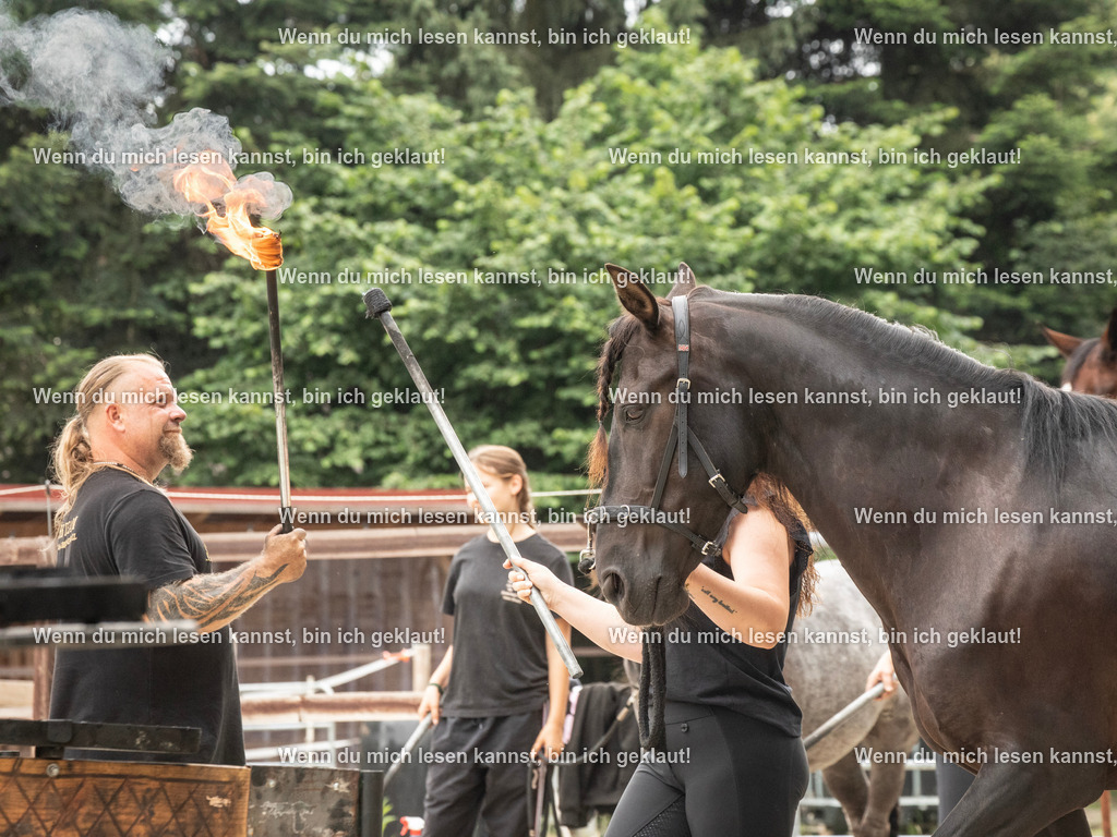 598A7941 | photographylinaismer - Realisiert mit Pictrs.com