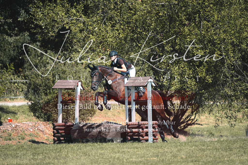 DSC_8227 | Pferde- und Turnierfotografie in Westsachsen. Pferdeportraits, Auftragszeichnungen und intuitive Kunst.