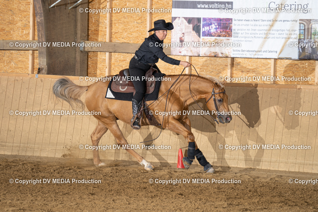 DSC00094 | dv-media-shop - Realisiert mit Pictrs.com