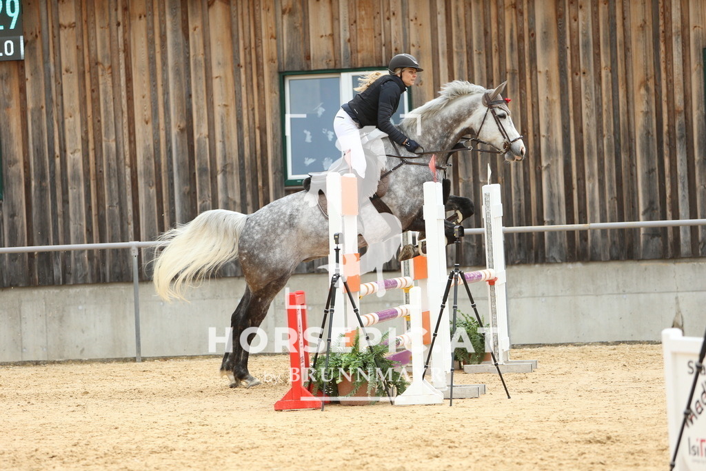 DL2Q2558 | Willkommen bei Brunnmayr - Design & Fotografie – Ihrem Spezialisten für Reitturniere und Pferdeveranstaltungen in Oberösterreich, Salzburg und Bayern! Seit über 17 Jahren sind wir leidenschaftlich dabei.