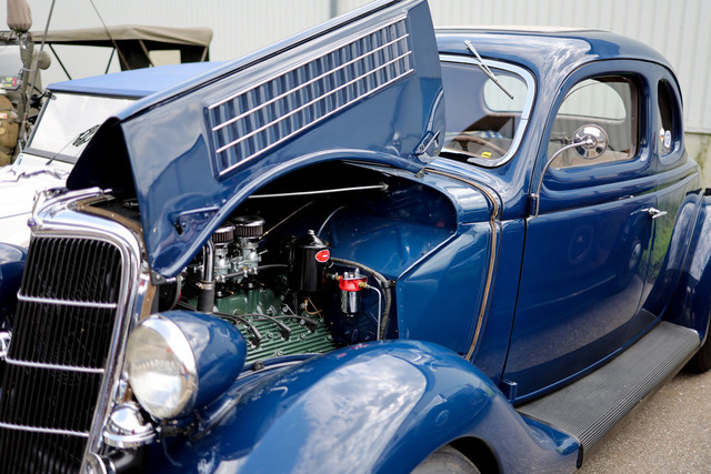 Calag_Oldtimer2025-48 | Ich fotografiere Hundeausstellungen, Sportanlässe, Zuchtstätten, Hundezucht, Hundeportrait, Lagotto - Realisiert mit Pictrs.com