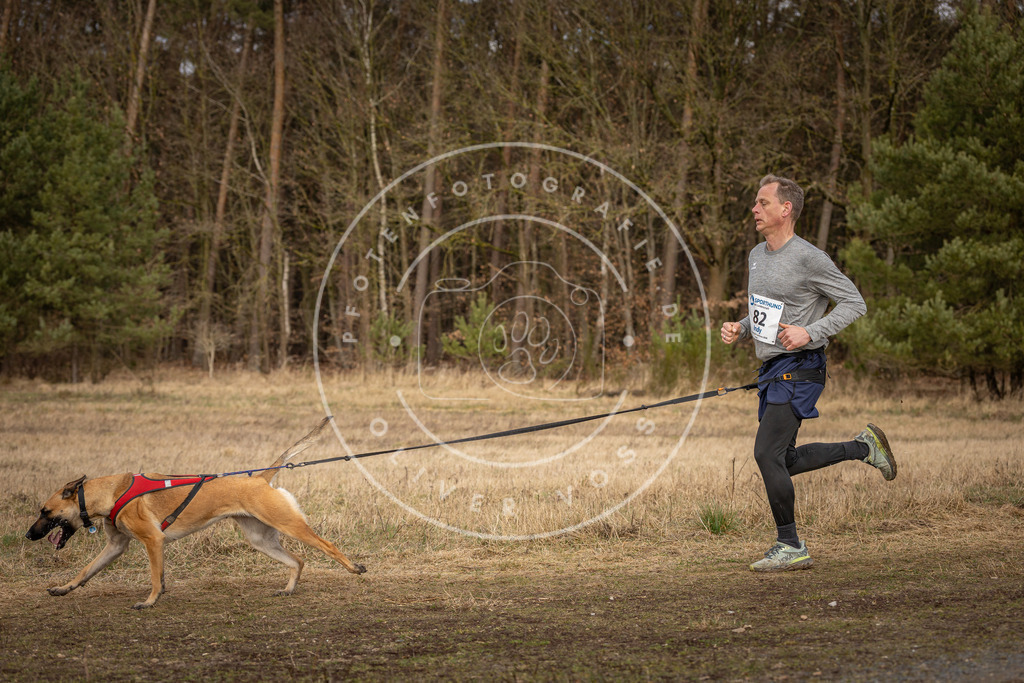 DV3A4140 | Hundefotografie, Tierfotograf, Pfotenfotografie, Fotoshooting Hund, Hunde Portrait, Hundesport, Hundeportraits, Heideshooting, Hunde, Sportfotograf, Hundefotograf, Turnierhundsport, THS,  - Realisiert mit Pictrs.com
