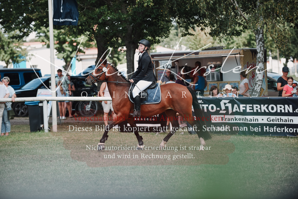 DSC_5849 | Pferde- und Turnierfotografie in Westsachsen. Pferdeportraits, Auftragszeichnungen und intuitive Kunst.