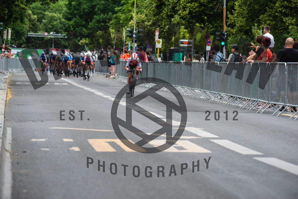 _DSC4397-2 | Drew Kaplan Photography