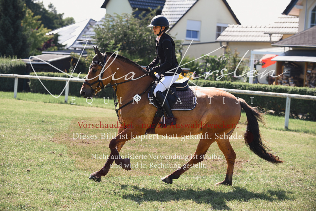 DSC_9237 | Pferde- und Turnierfotografie in Westsachsen. Pferdeportraits, Auftragszeichnungen und intuitive Kunst.