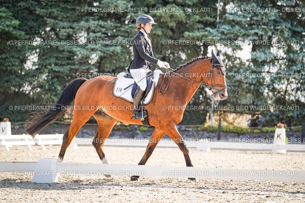 DSC09675 | Pferdegrafie