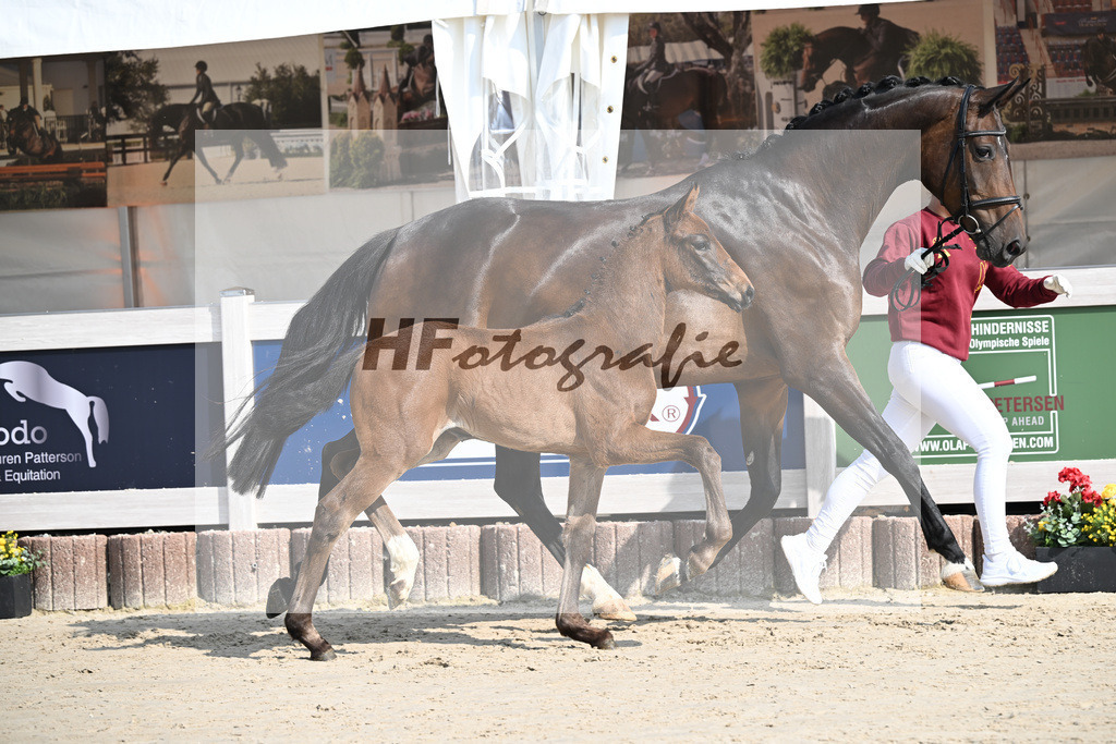 Sane x Fuerst Romancier_SF_Fritz_12250075 | hf-fotografie - Realisiert mit Pictrs.com