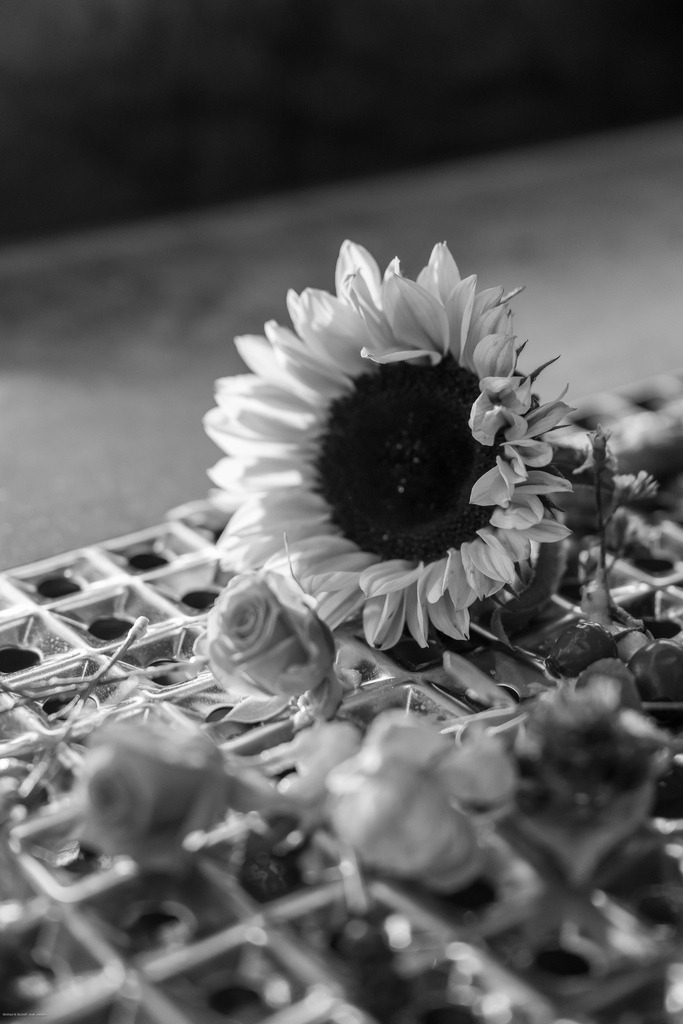 WWB_7844 | <Fotografie> <Video> <Film> <Winfried Bischoff> - Realisiert mit Pictrs.com