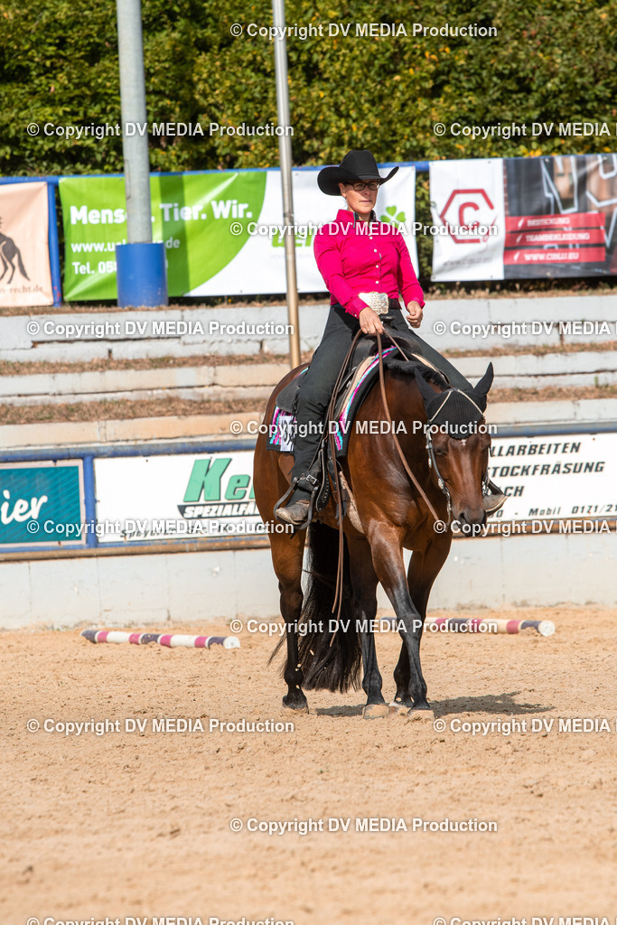 EWP_5794 | dv-media-shop - Realisiert mit Pictrs.com