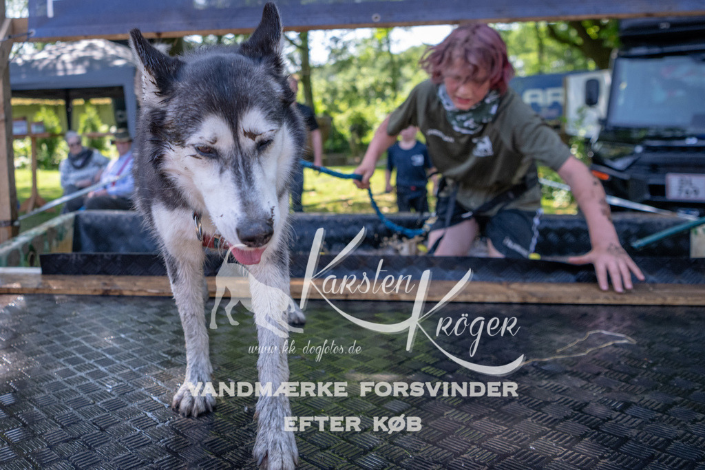 1348_ZZ92227 | kk-dogfotos