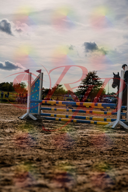 2026_10_03_Siefer-Hof_161018_Z63_12782644 | Professionelle Reitsport-, Turnier- und Eventfotografie von Robert Broda. Galerien mit ausgewählten und bearbeiteten Bildern direkt online ansehen und bestellen.
