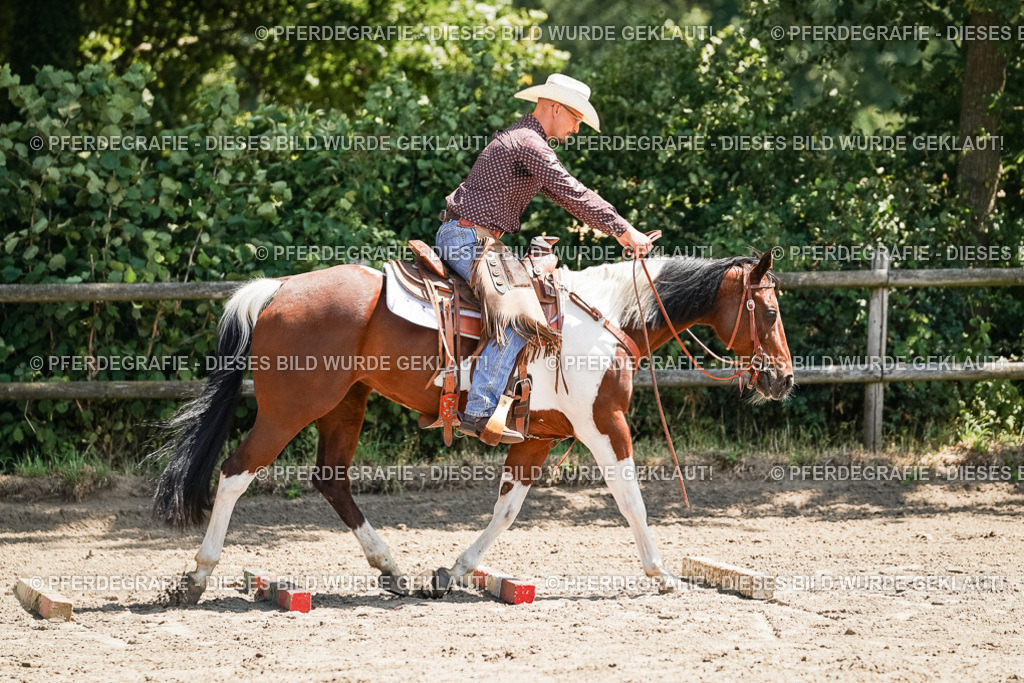 DSC07465 | Pferdegrafie