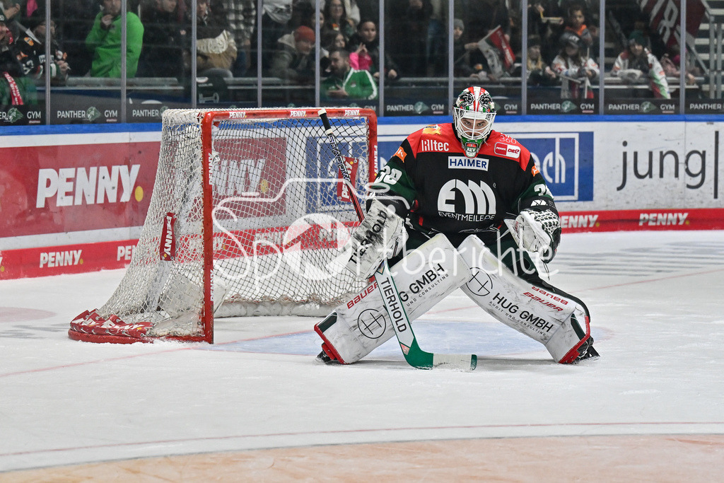 Augsburger Panther - ERC Ingolstadt | Im Bild Strauss MANN (Augsburger Panther #38) / Freisteller / Einzelfoto / DEL: Augsburger Panther - ERC Ingolstadt, Curt Frenzel Stadion am 26.01.2025