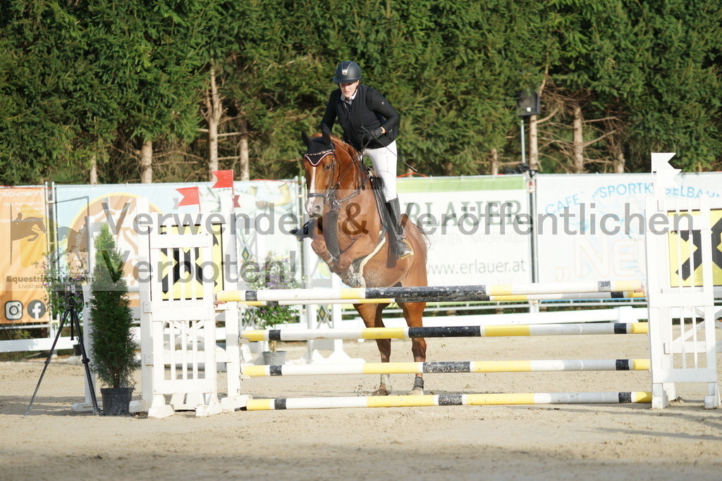 DSC01530 | equestrian-live-com