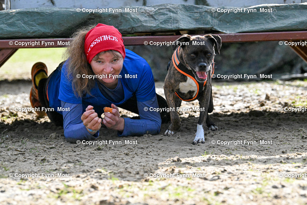 DSC_6318 | Hallo und herzlich Willkommen auf meiner Shop-Seite Fynn Most.

Ich wünsche Dir viel Spaß beim stöbern durch die Bilder, wenn Du Fragen hast oder Bilder vermisst, kannst du mir gerne eine Nachricht schreiben. - Realisiert mit Pictrs.com