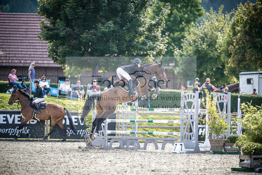 DOS_1221 | Entdecke hochwertige Reitturnierfotos von Foto Oger. Professionell, emotional und authentisch – jetzt Lieblingsmomente im Shop bestellen.Deutschlandweite Turnierfotografie. - Realisiert mit Pictrs.com