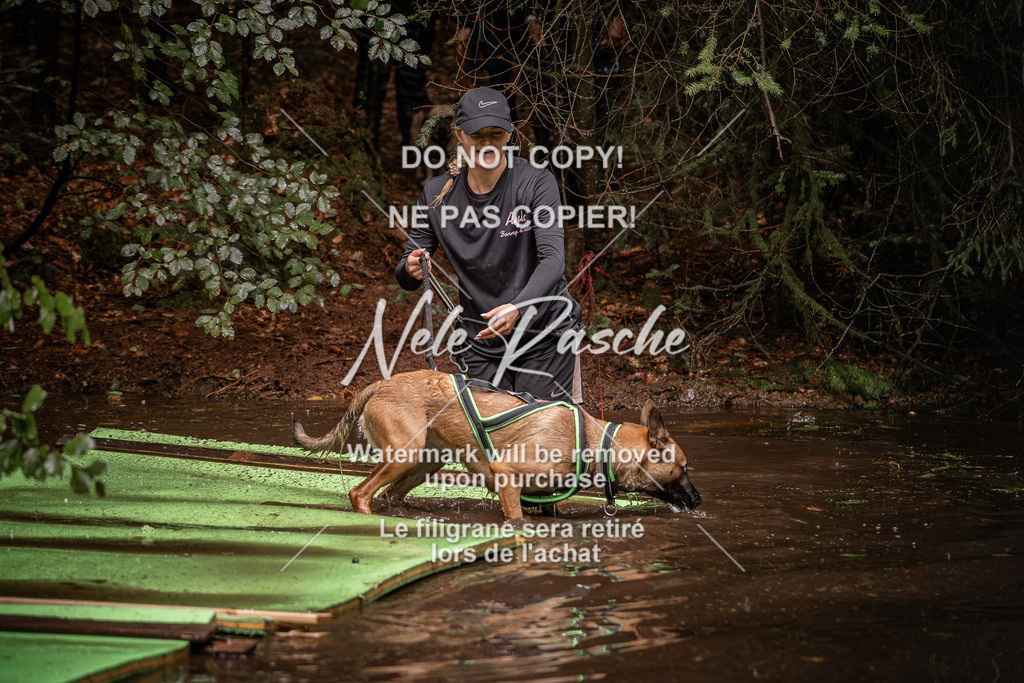 nelerasche_Wingst_Sa1330-1400_74 | nelerasche