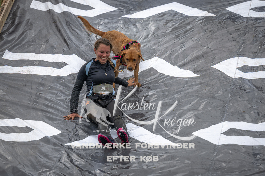 1529_ZZ93764 | kk-dogfotos