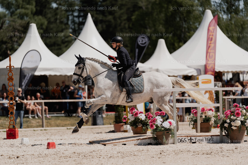 WE_SP_Stoib_331_PI2025_1836 | Pferd International München 2025